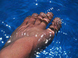 炎热的夏季进游泳池洗澡。我喜欢这张照片的色彩。