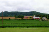 These are barns and a field of green soy beans in front of the middle school.