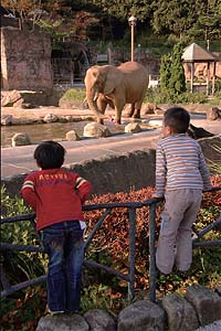 History of Japanese Zoos