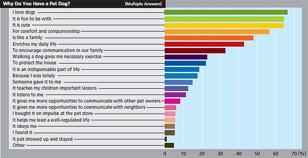 Reason for Owning Dogs