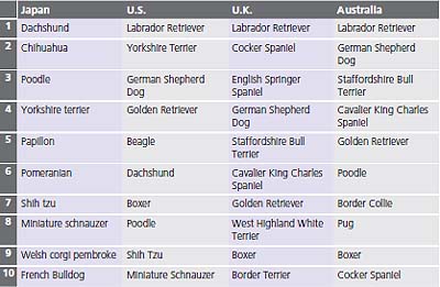 Breeds of Registered Dogs